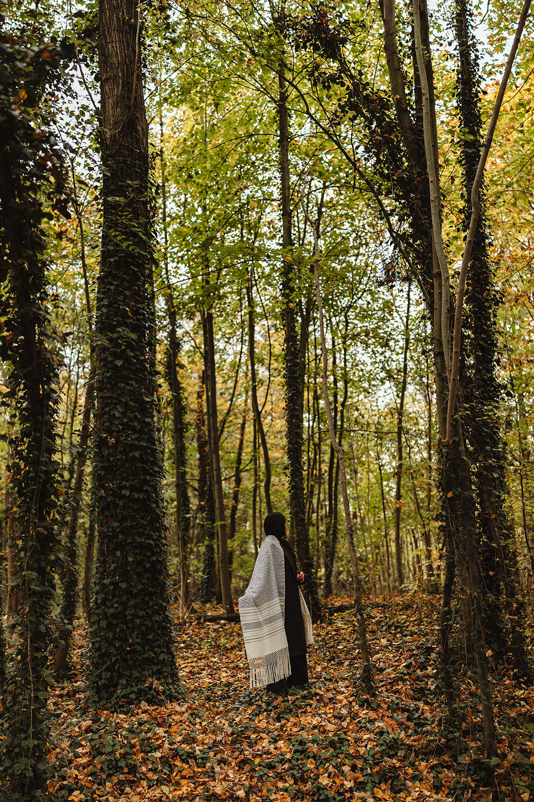 Rebozo "Rialni" plein avec des fils en soie